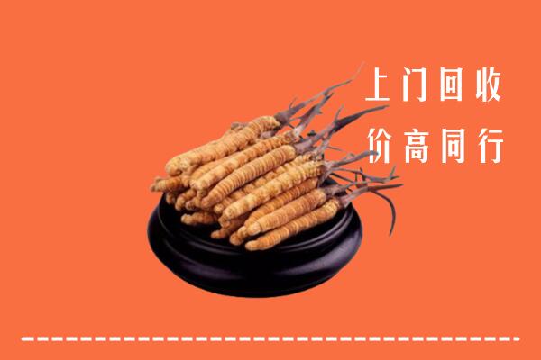 高价求购：绵阳市北川回收散虫草