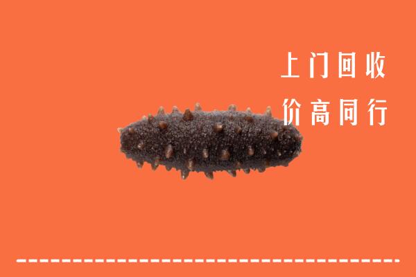高价求购：绵阳市北川回收海参